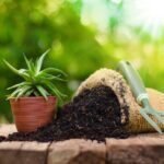 Optimal moisture content for organic fertilizer granulator