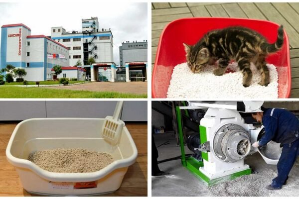 Tofu cat litter pellet machine